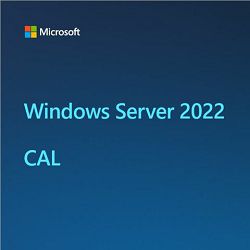 SRV DOD LN OS WIN 2022 Server CAL (5 User)