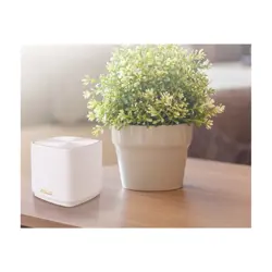 asus-zenwifi-xd5-white-2pk-ax3000-router-56038-46142489.webp