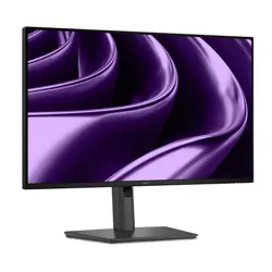 Dell Flat Panel 24" P2426HE