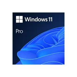 ms-1x-win-11-pro-64bit-dvd-oem-en-50037-4334306-rc.webp