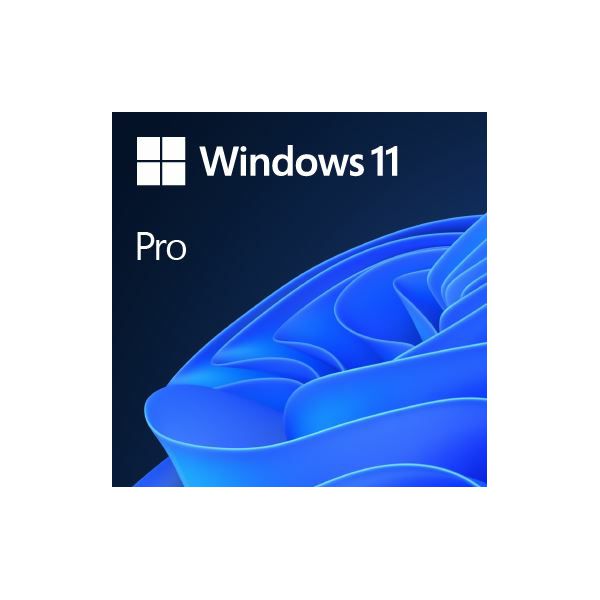 DSP Windows 11 Pro Eng 64-bit, FQC-10528