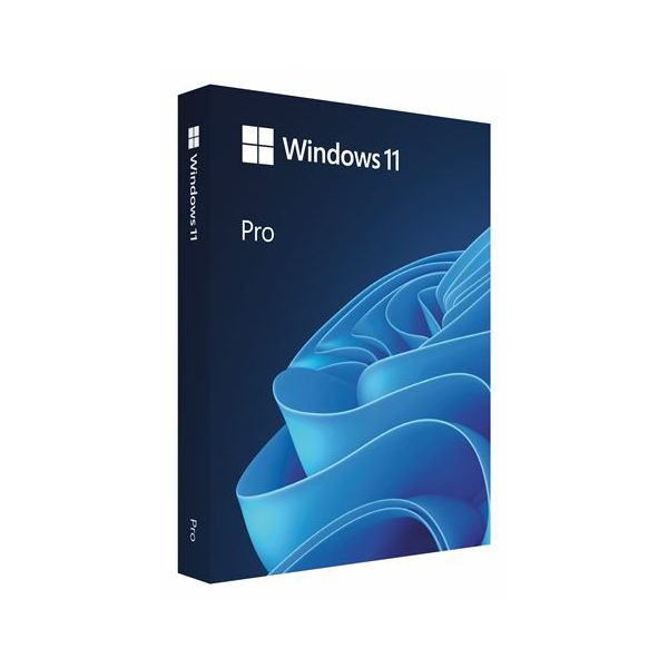 FPP Windows 11 Pro 64-bit Cro USB, HAV-00141