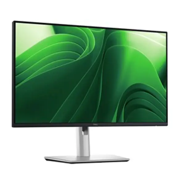 Dell Flat Panel 24" P2425DE