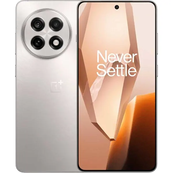 OnePlus 13R 12/256GB Grey EU